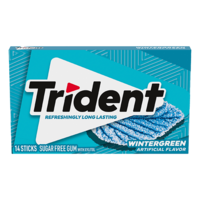 Trident Wintergreen Sugar Free Gum 14stk