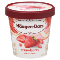 Haagen-Dazs Strawberry Ice Cream 14oz