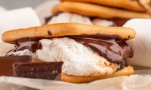 A close-up of a delicious S'mores