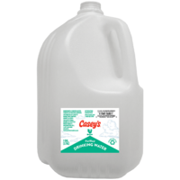 Casey's Purified Drinking Water 1 Gal.